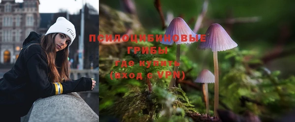 ALPHA PVP Беломорск