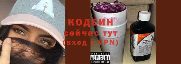 дживик Белокуриха