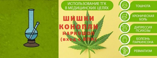 дживик Белокуриха