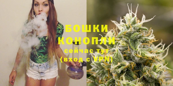 дживик Белокуриха