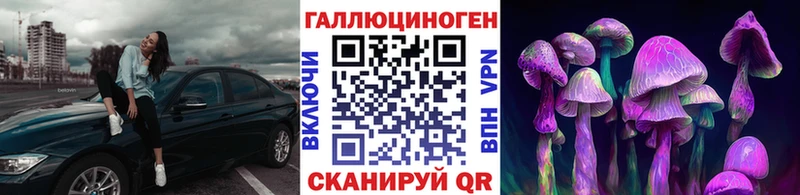 Купить  Выборг  Псилоцибиновые грибы Psilocybe 